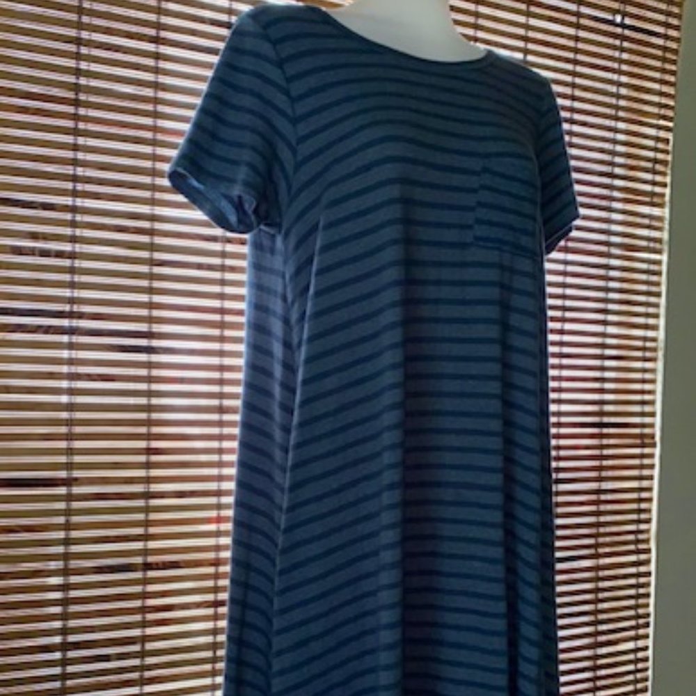 LuLaroe Heathered Blue-Gray & Blue Striped Carly Swing Dress - Picture 6 of 15